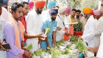Kisan Mela: मेरठ में 16 से 18 अक्तूबर तक लगेगा किसानों के लिए मेला, बीज से  लेकर फलदार पौधे तक खरीदने का मौका - Kisan Mela Held In Meerut From 16 To