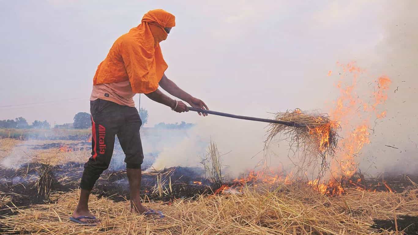 पराली जलाने के मामलों में आई गिरावट।