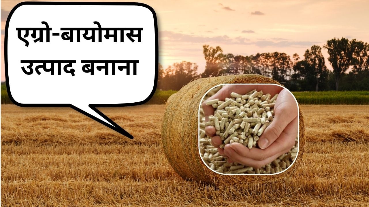 पराली से एग्रो-बायोमास उत्पाद बना सकते हैं।