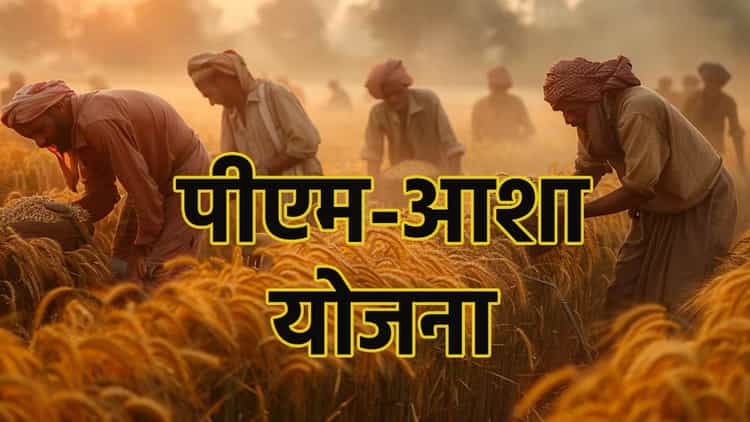 Pm Aasha Scheme: क्या है पीएम-आशा योजना, जिस पर 35,000 करोड़ खर्च करेगी  सरकार - Pm Aasha Scheme: Good News For Farmers, Budget Approval Of Rs  35,000 Crore For Pm Aasha - Gaon-junction