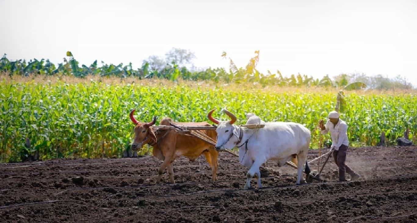 सूखा प्रभावित क्षेत्रों में गैर-बैंकिंग वित्तीय कंपनियों ने लोन की सप्लाई को नियंत्रित करने का फैसला लिया है।