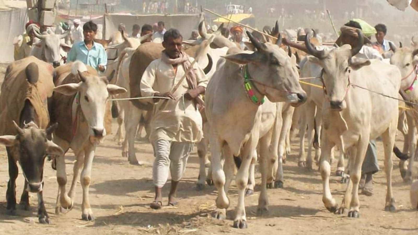 सांकेतिक तस्वीर