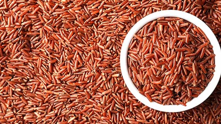 Red Rice: 800 रुपये किलो में बिक रहा है ये लाल चावल, खरीदने के लिए लग ...