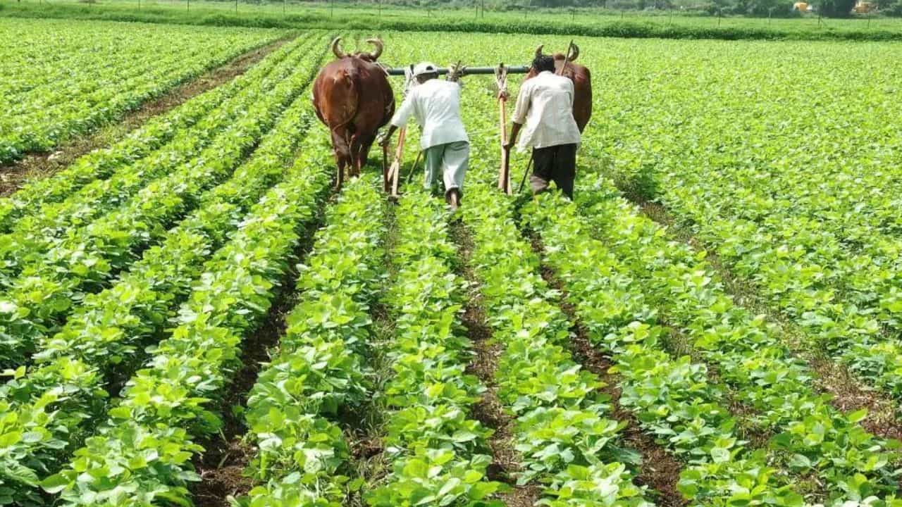 लद्दाख भारत का पहला पूरी तरह से जैविक केंद्र शासित प्रदेश बन गया है।