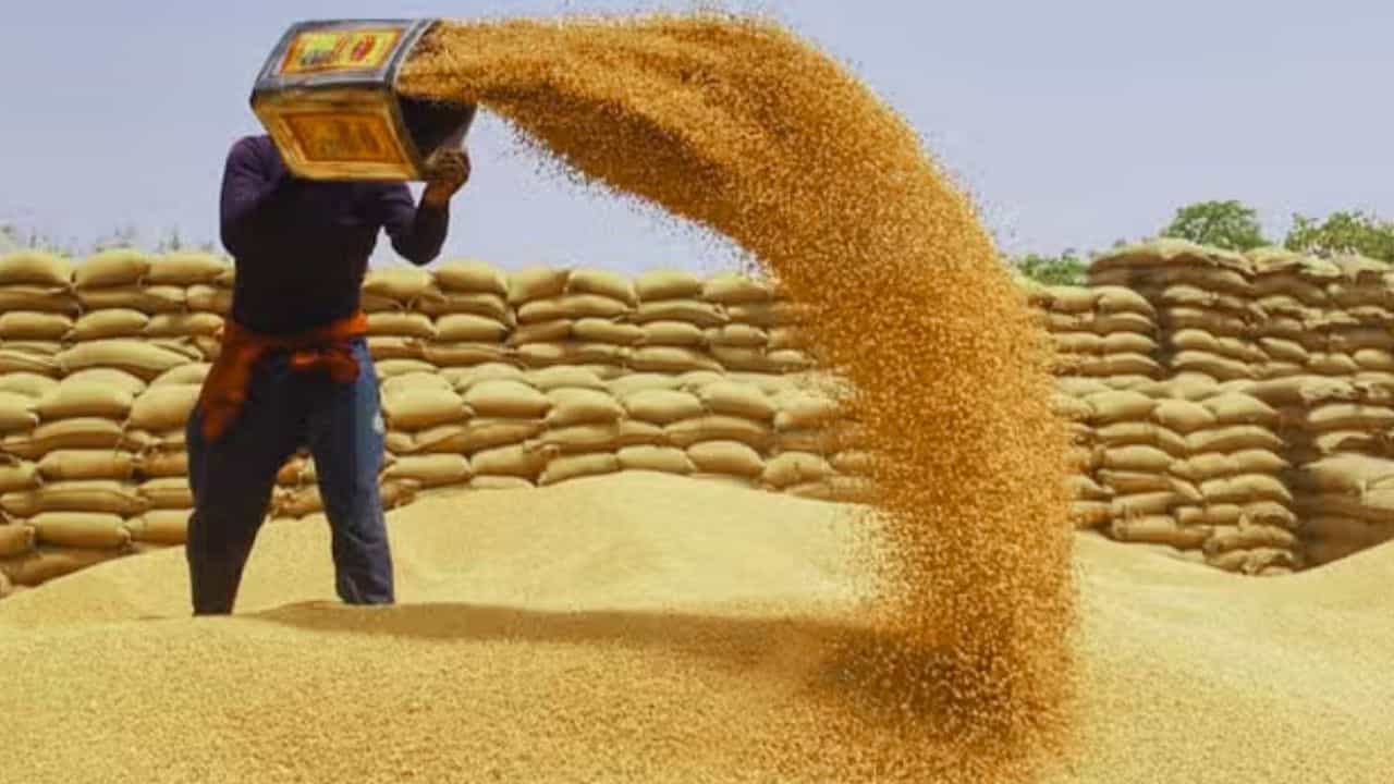 NCCF अपने निजी व्यापार को रफ्तार देने पर जोर दे रही है।