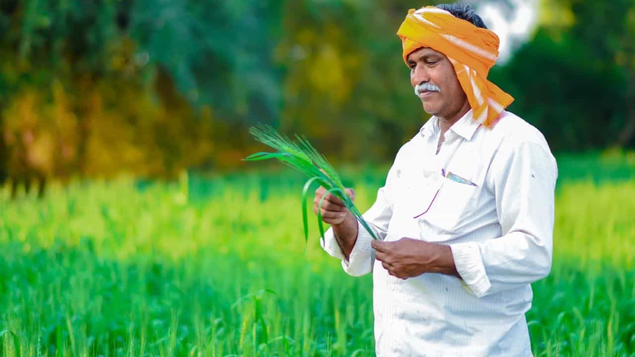 पीएम फसल बीमा योजना की राष्ट्रीय रैंकिंग में राजस्थान ने चौथा पायदान हासिल किया।