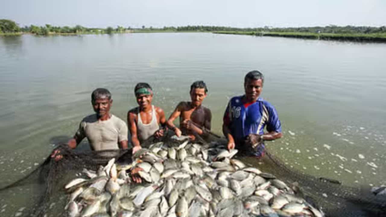 मत्स्य पालन
