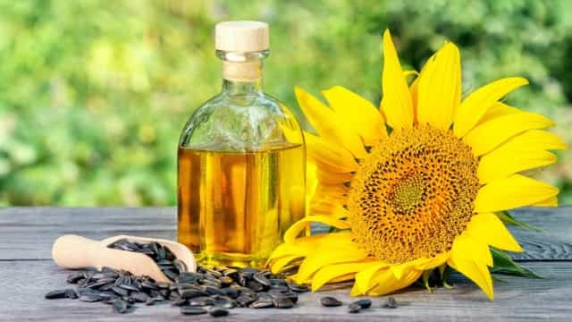 सूरजमुखी तेल के आयात में उछाल के आसार