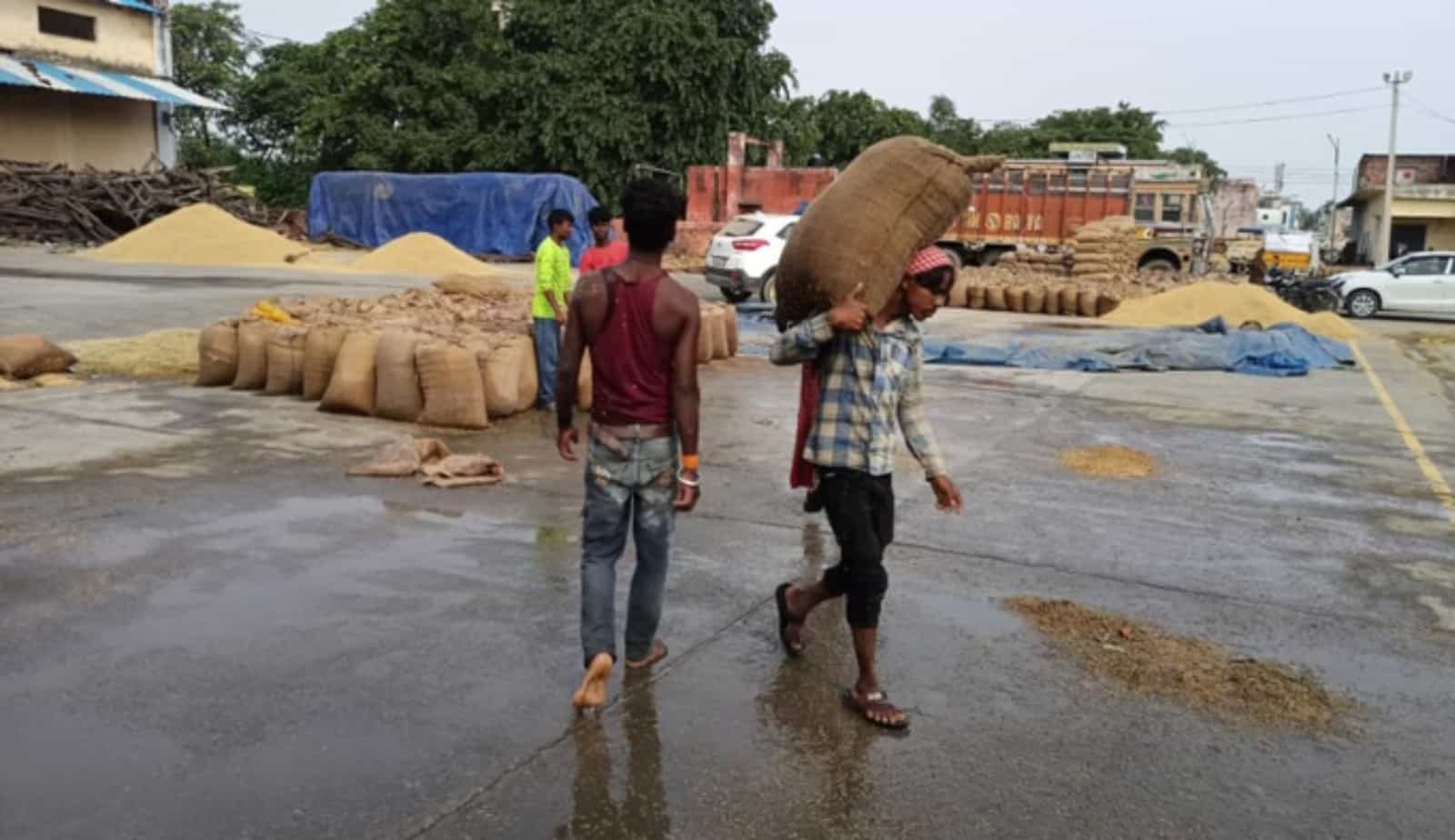 सांकेतिक तस्वीर