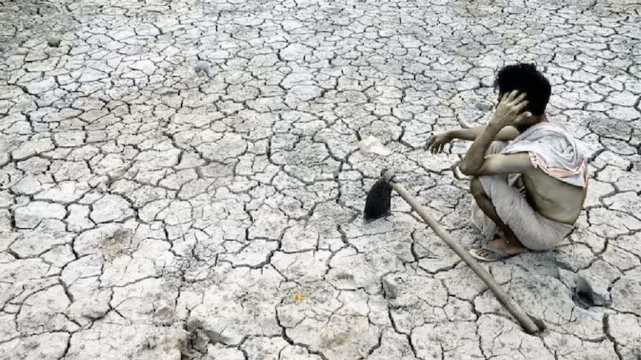 सांकेतिक तस्वीर