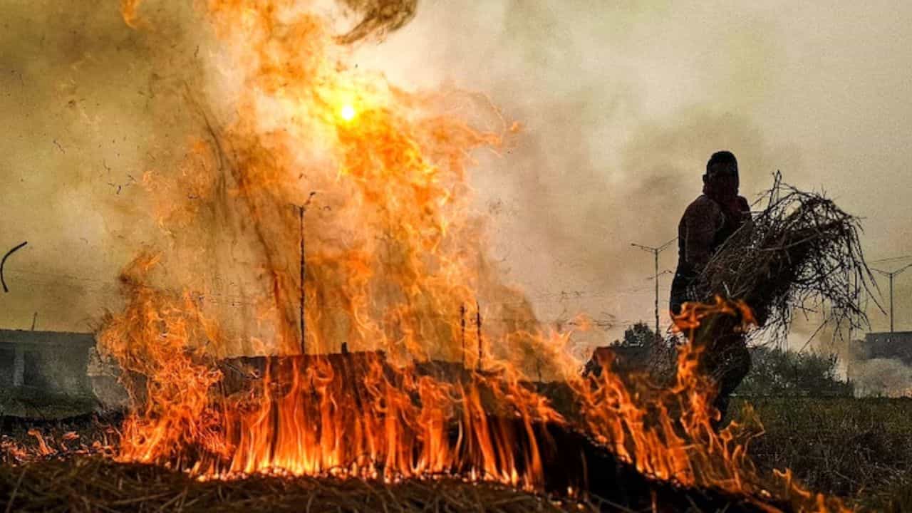 पराली की आग (फाइल फोटो)