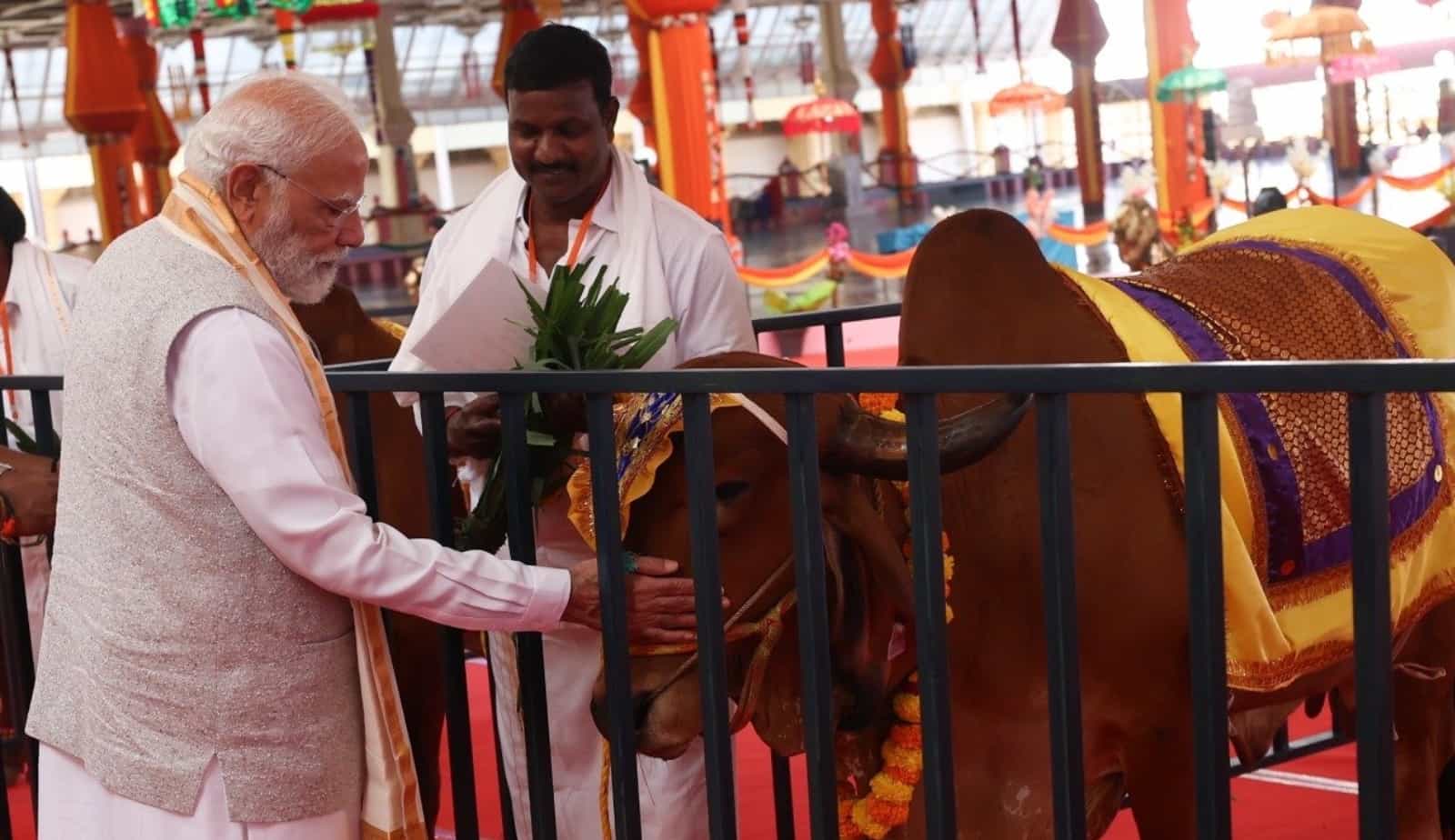 देसी गायों में नस्ल सुधार पर फोकस करेगा भीलडी में बना पशु प्रजनन और अनुसंधान केंद्र, पीएम मोदी करेंगे उद्घाटन