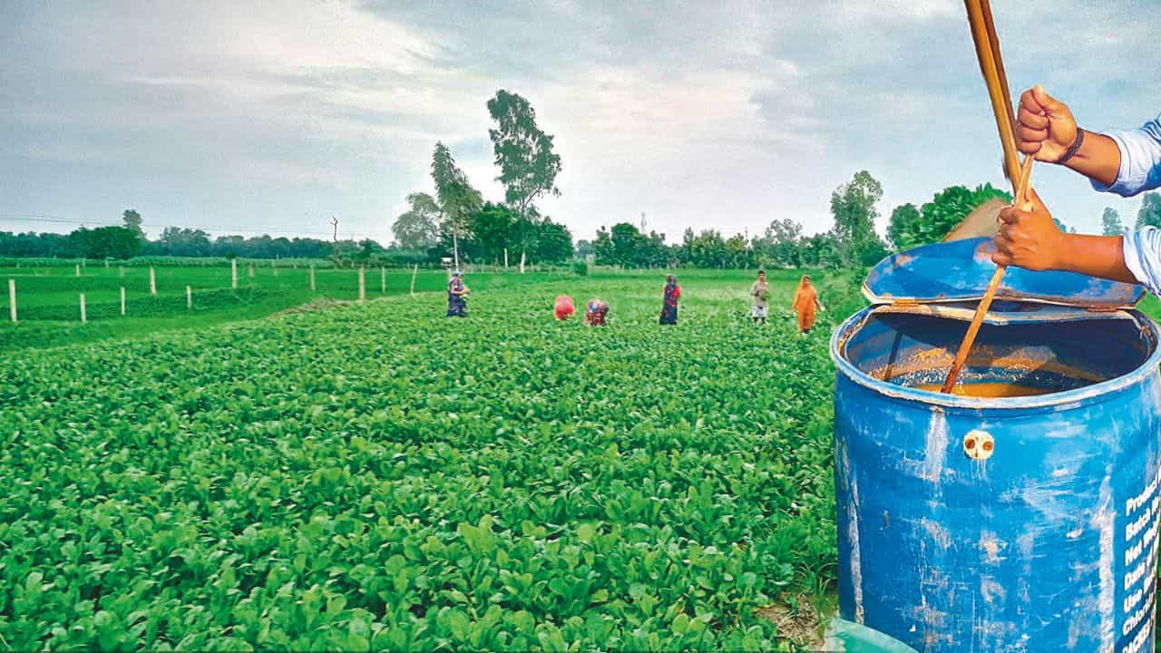 जैविक खेती