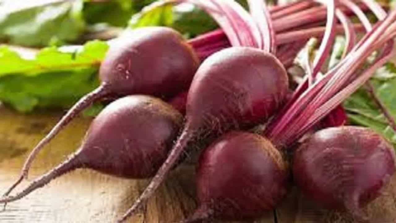 इस रबी उगाएं चुकंदर, जेब और मिट्टी की सेहत दोनों को फायदा।