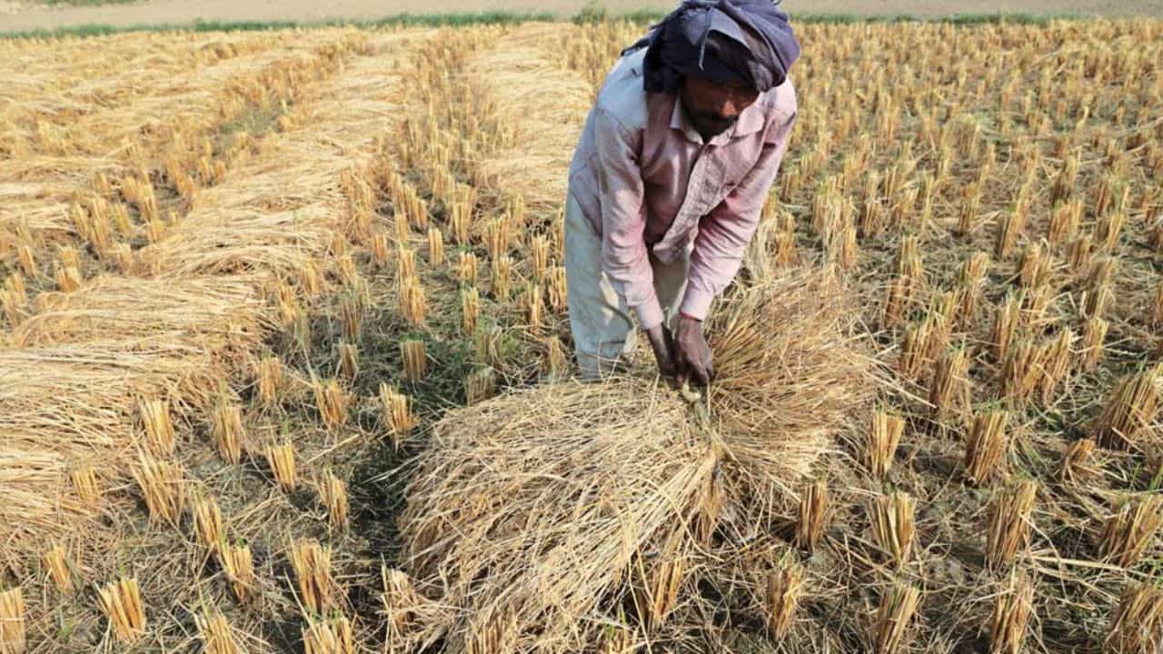 सांकेतिक तस्वीर