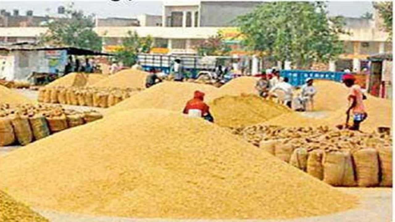 सांकेतिक तस्वीर