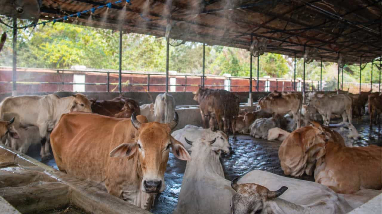 सांकेतिक तस्वीर