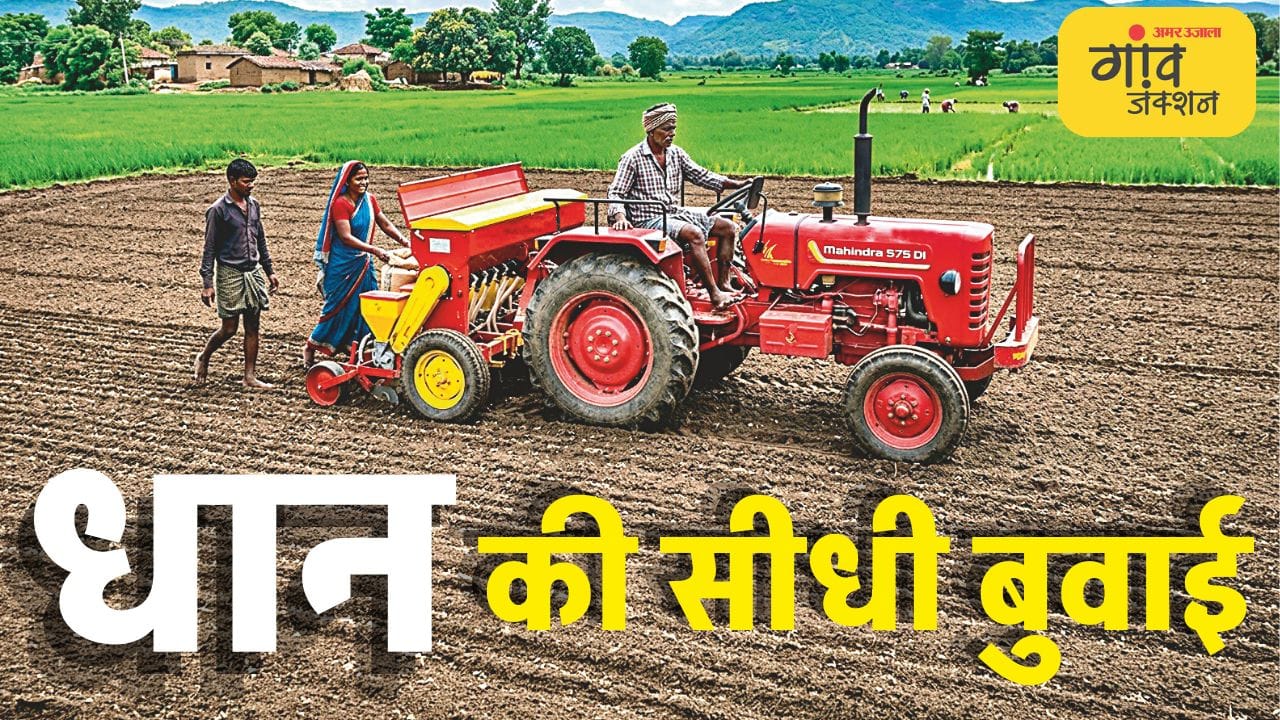 डीएसआर मशीन से धान की सीधी बुवाई।