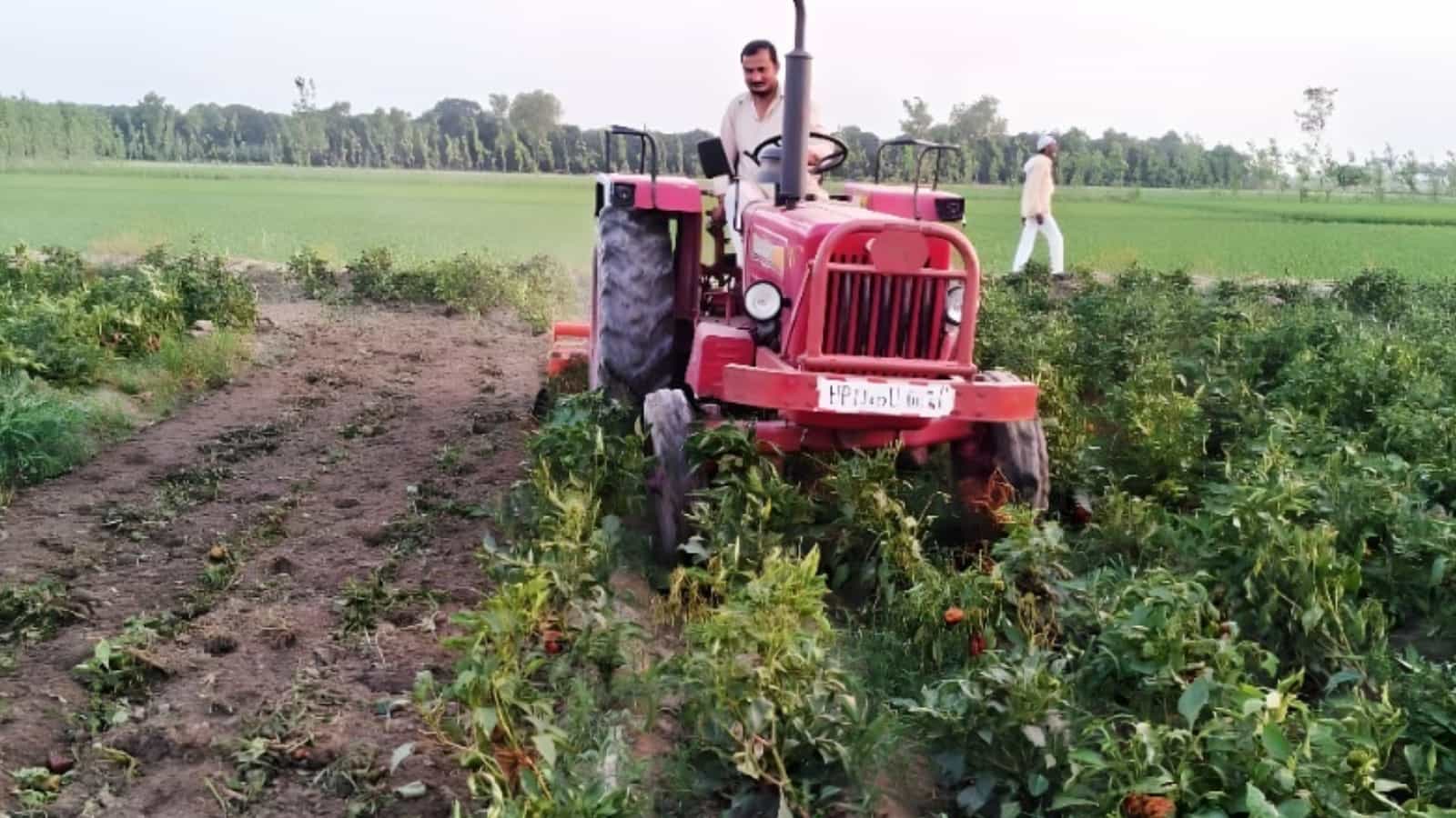 सांकेतिक तस्वीर