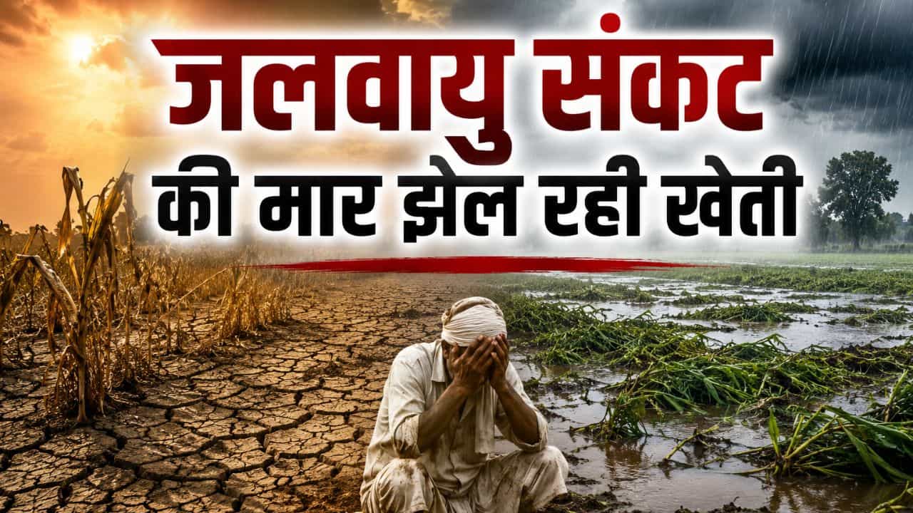 जलवायु संकट की मार झेल रही खेती