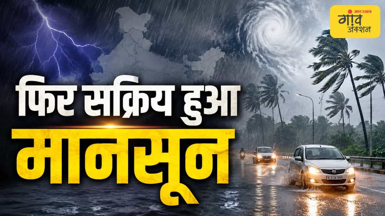 सांकेतिक तस्वीर