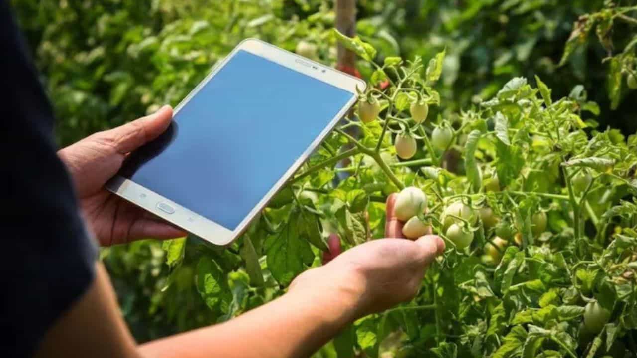 जलवायु परिवर्तन के दौर में एआई किसानों को समय पर फैसले लेने में मददगार साबित हो सकता है।