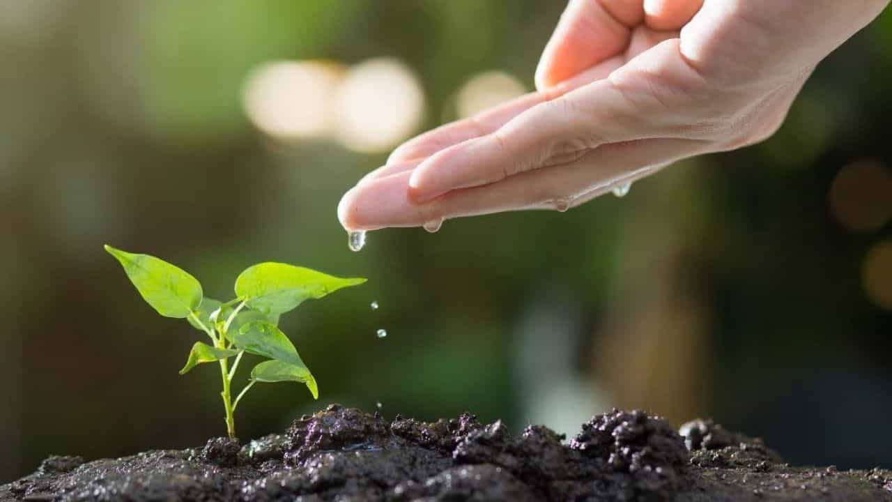 महाराष्ट्र सरकार प्रदेश में सूखे का एलान करने वाली है।