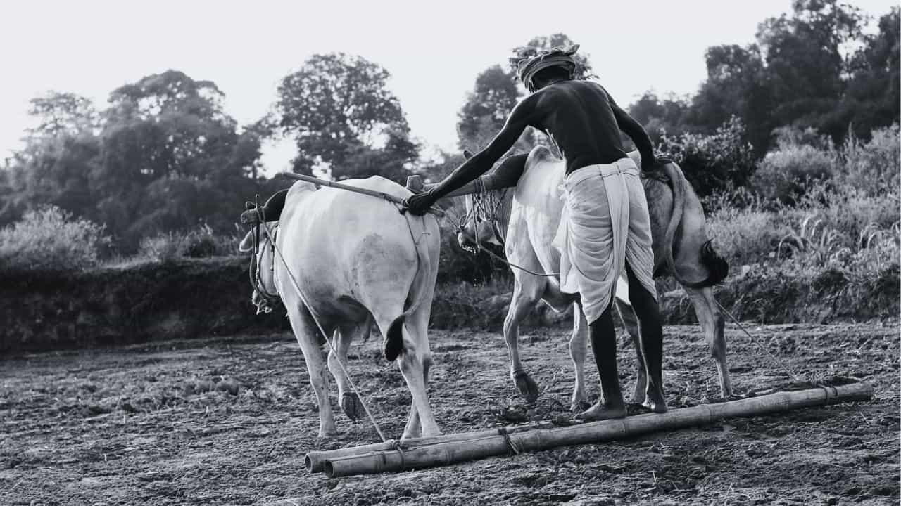 झारखंड के पहले कृषि संग्रहालय में दिखेगा खेती का पूरा सफर।