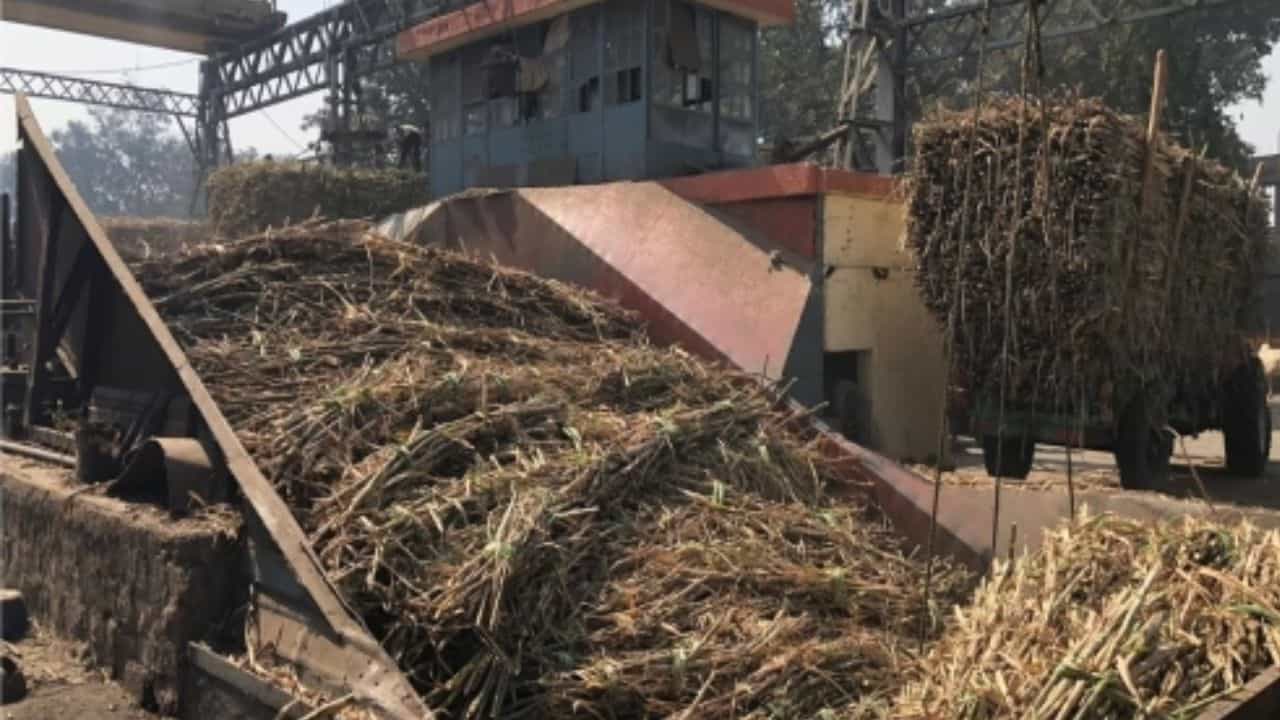 गन्ने की पेराई