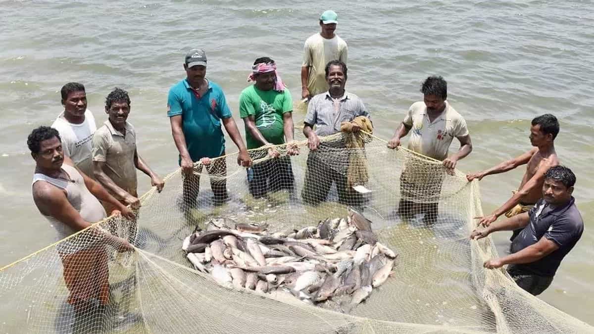 सांकेतिक तस्वीर