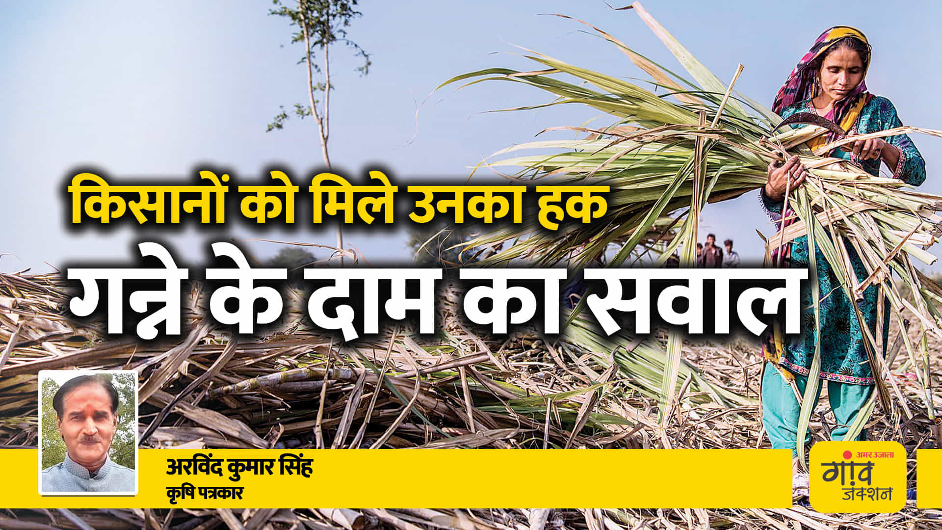 1 अक्तूबर से नया पेराई सीजन शुरू से पहले गन्ने का दाम 600 रुपये/क्विंटल तक बढ़ाने की मांग उठ रही है।