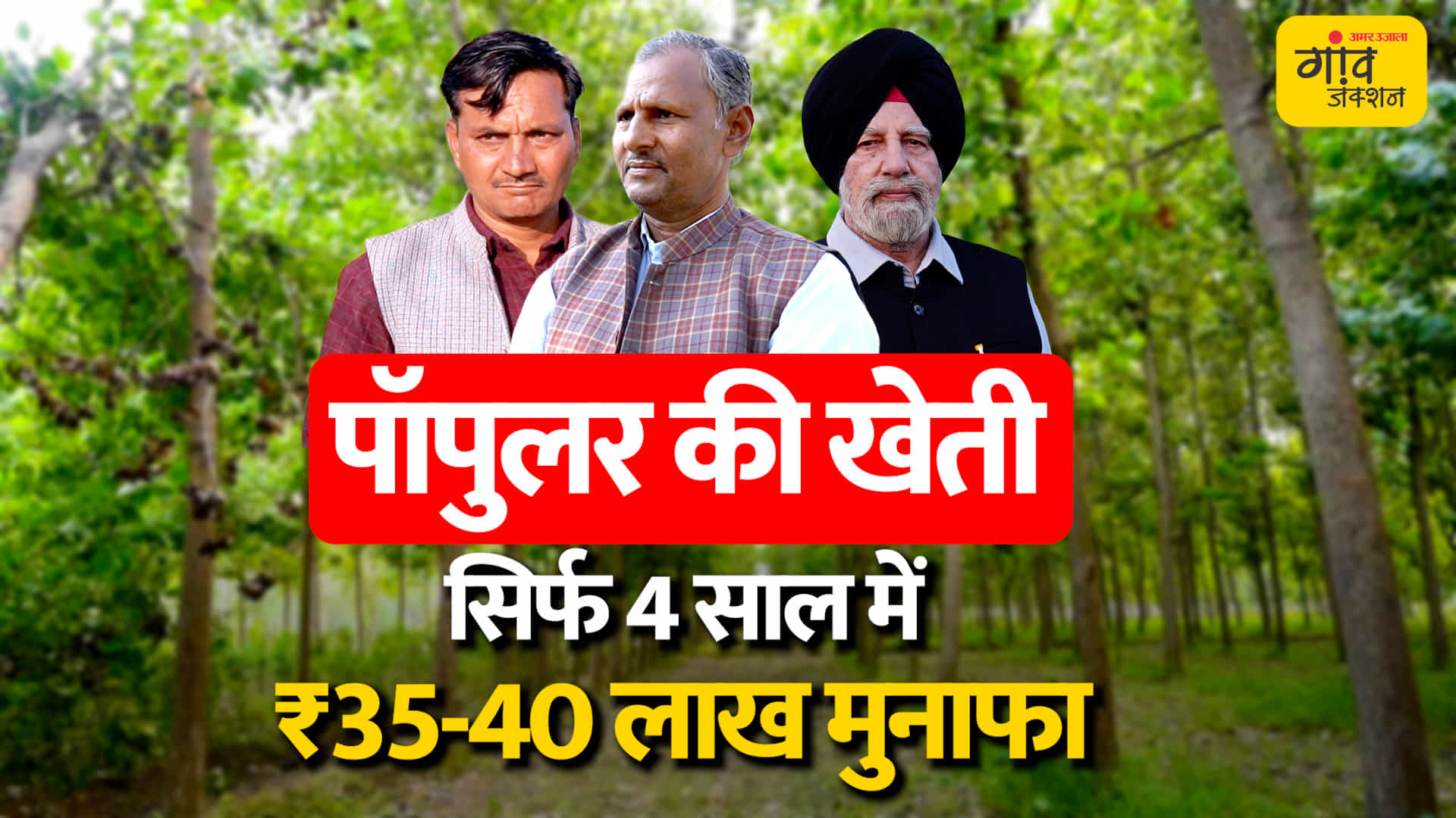 पॉपुलर की खेती
