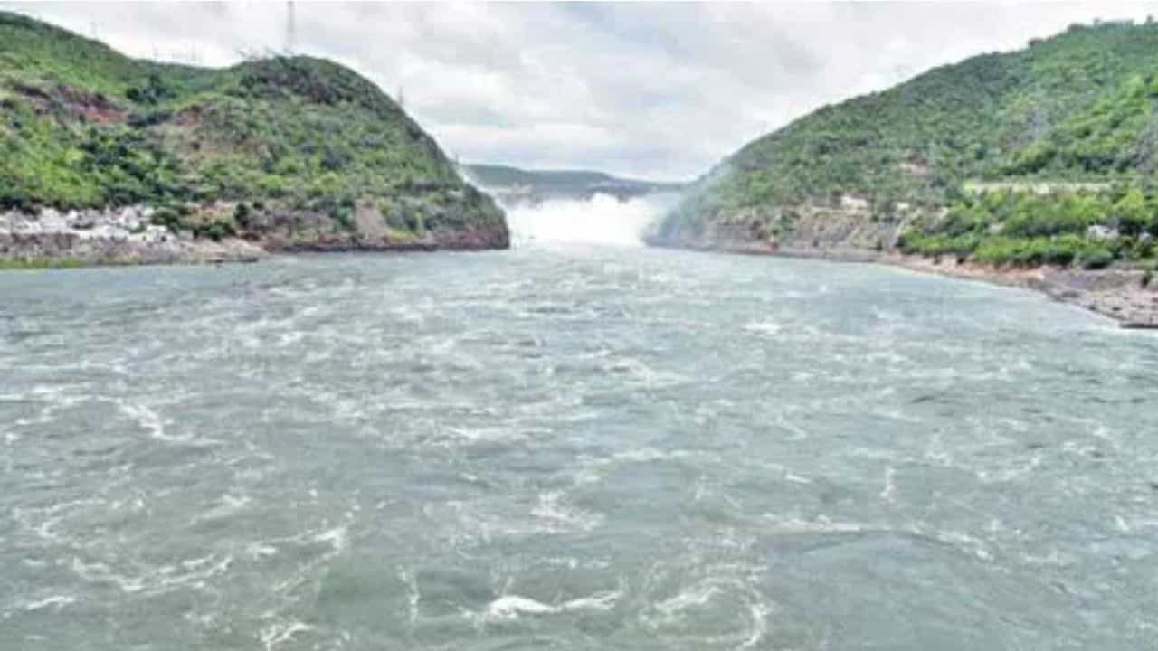 सांकेतिक तस्वीर