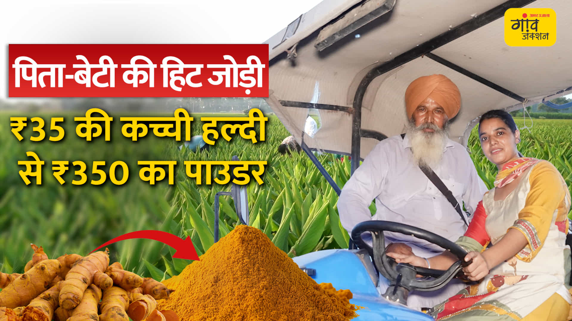 पिता ने उगाई जैविक हल्दी