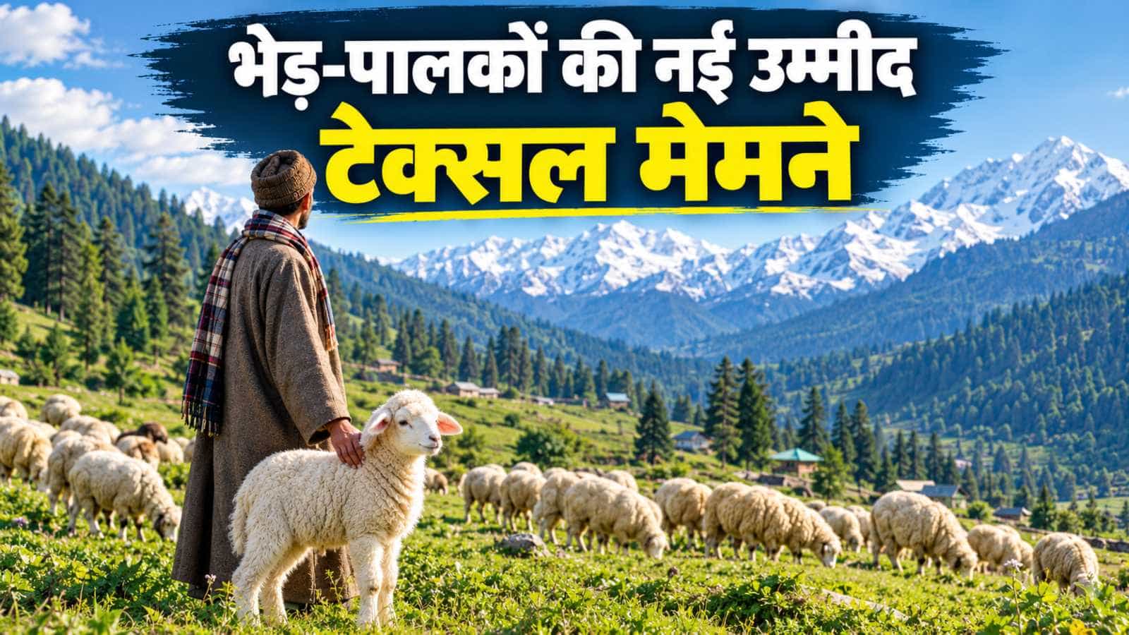 भ्रूण स्थानांतरण तकनीक (ETT) से भेड़ों के झुंड में टेक्सल और मेरिनो मेमने का जन्म।