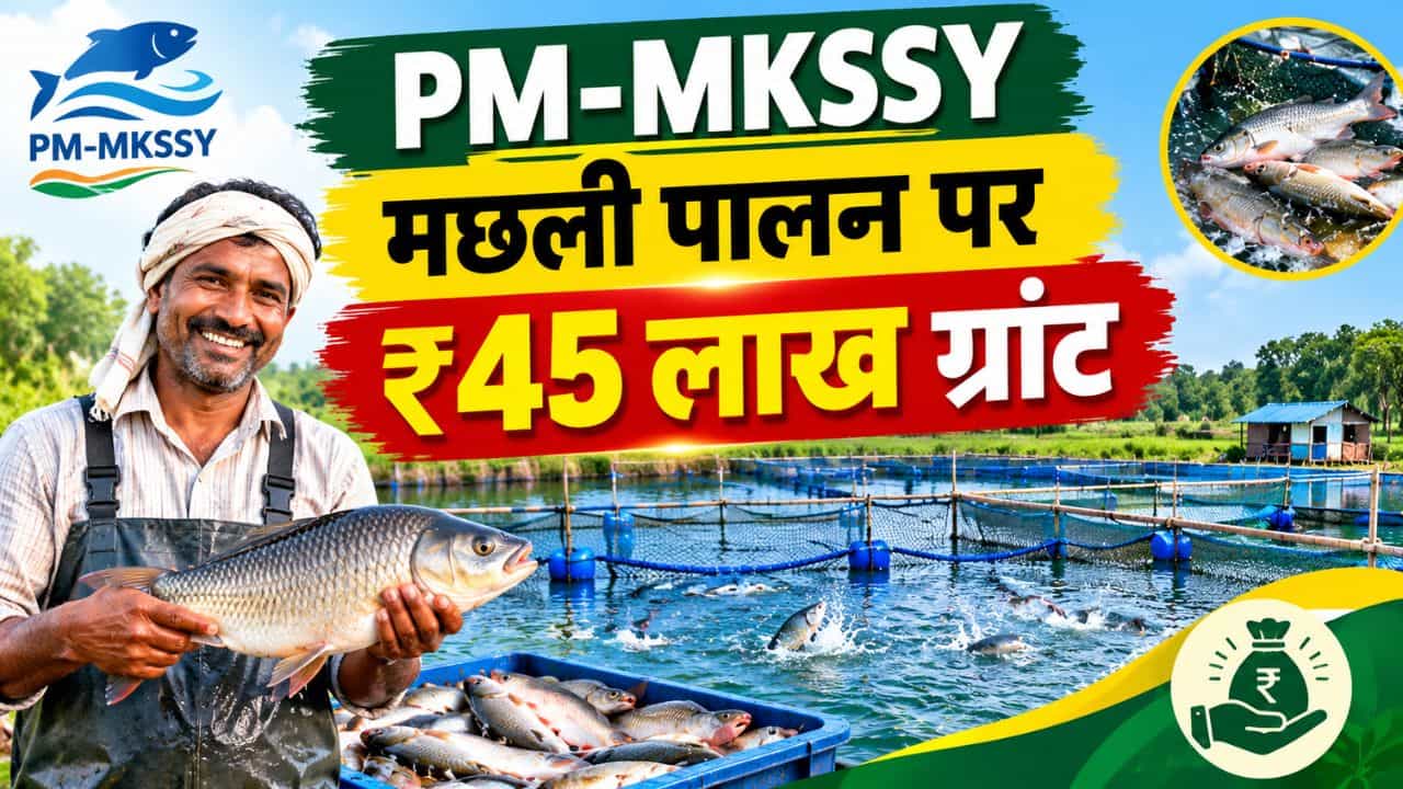 मछली पालन पर ₹45 लाख तक ग्रांट