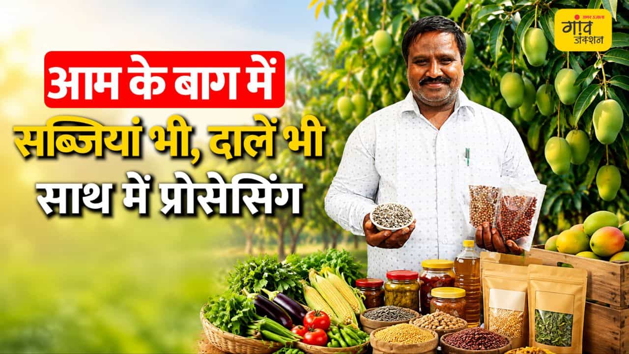 8 एकड़ में 20+ फसलें