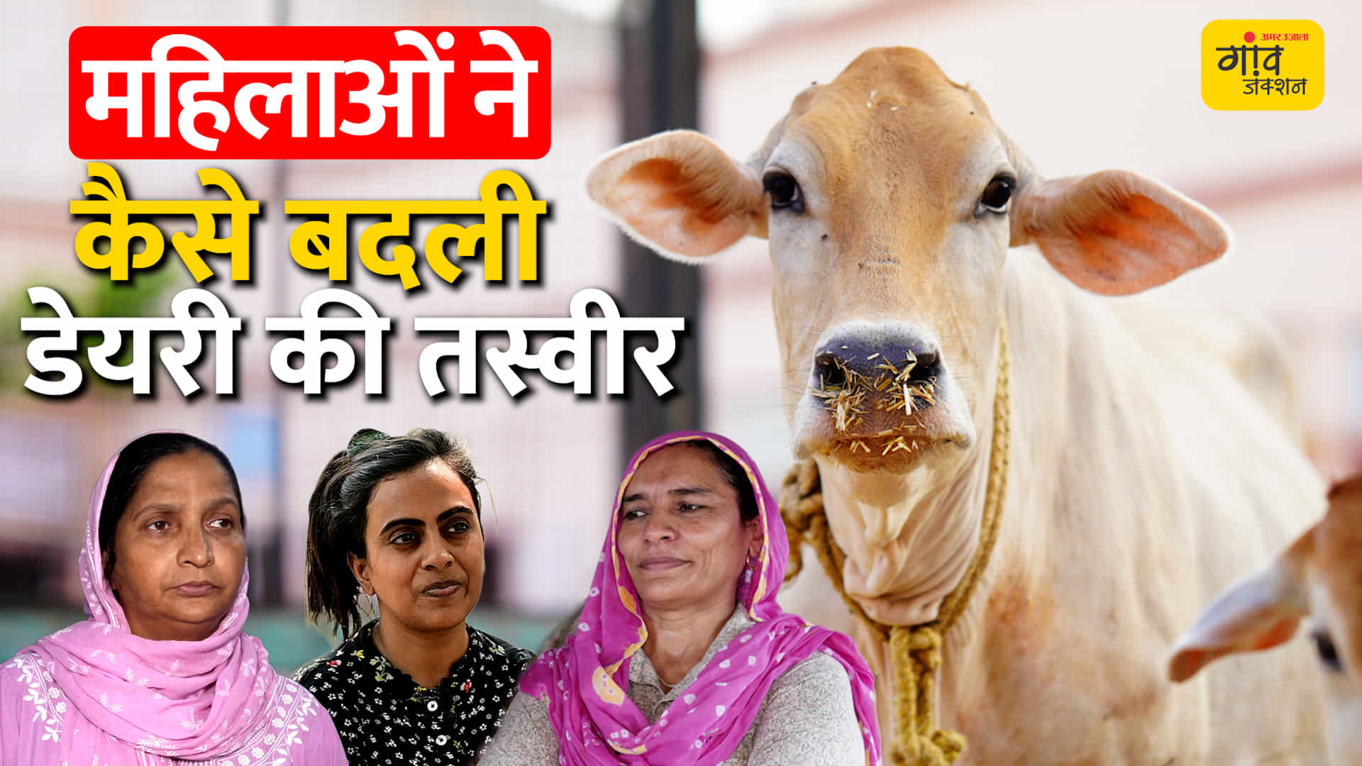 दूध से बिजनेस तक