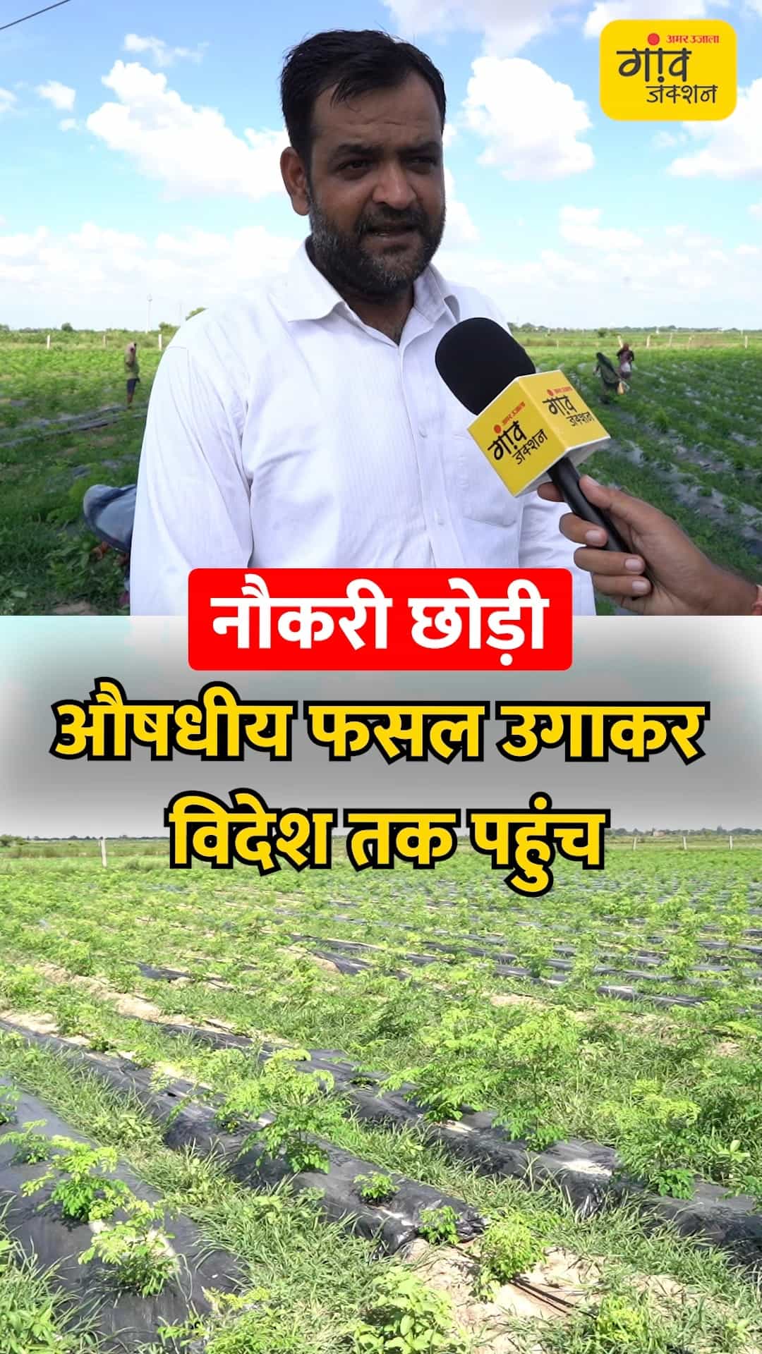औषधीय फसलों की खेती से किसान बना निर्यातक