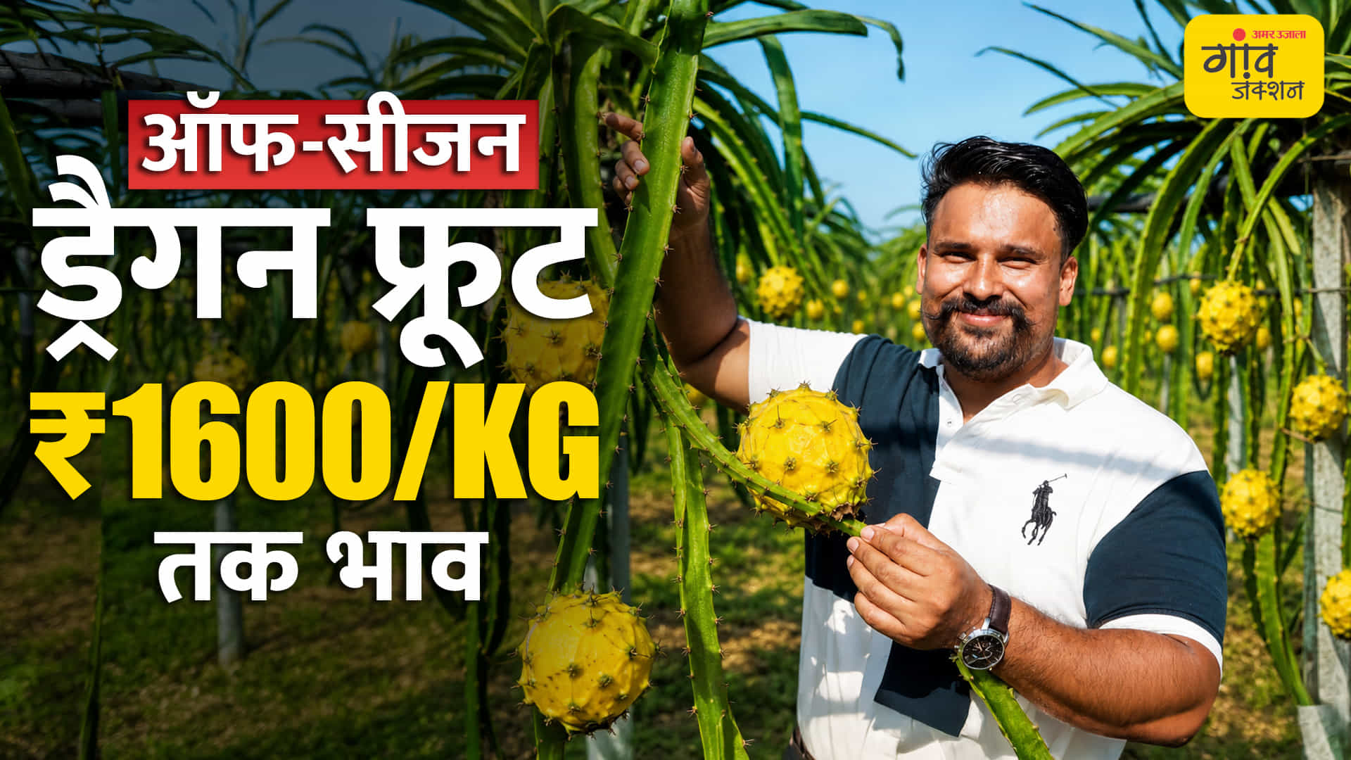 ऐसे शुरू करें ड्रैगन फ्रूट की खेती