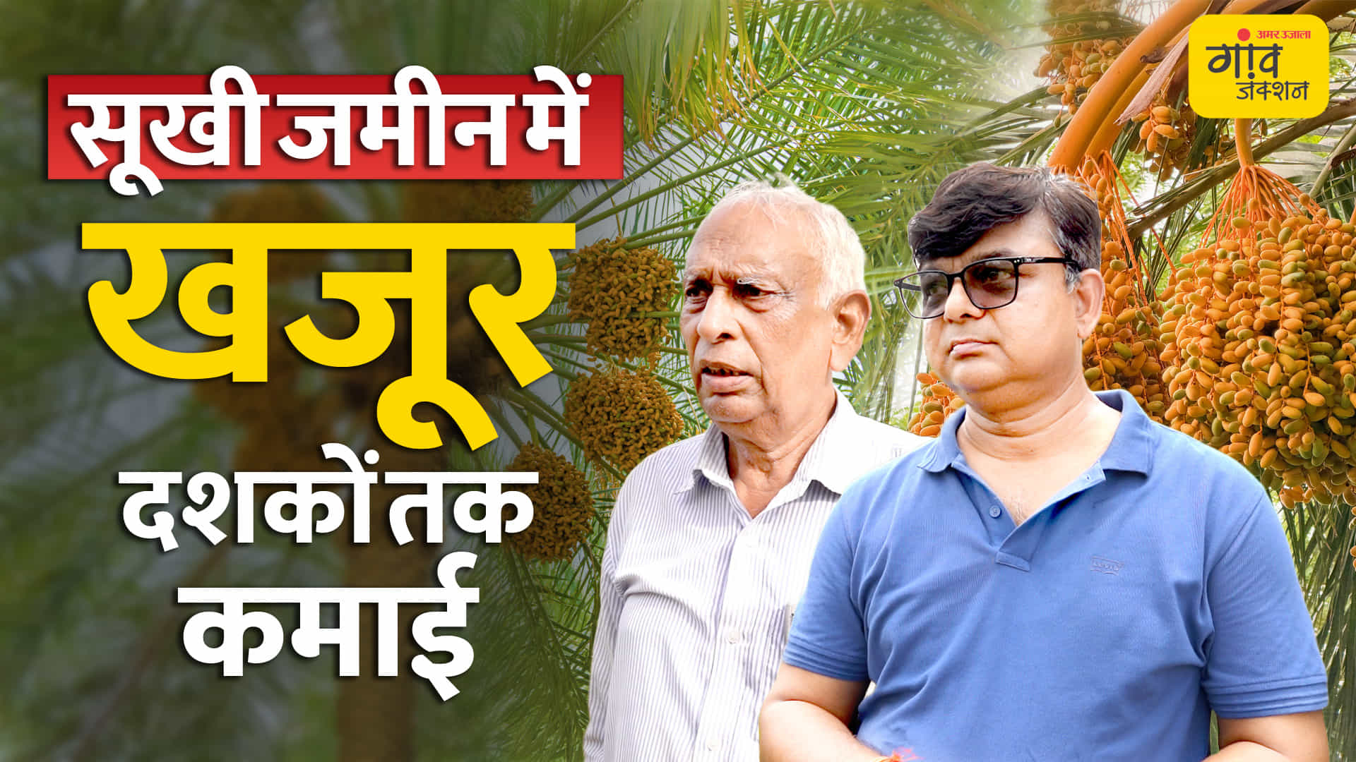 कम पानी, तेज गर्मी में खजूर की खेती