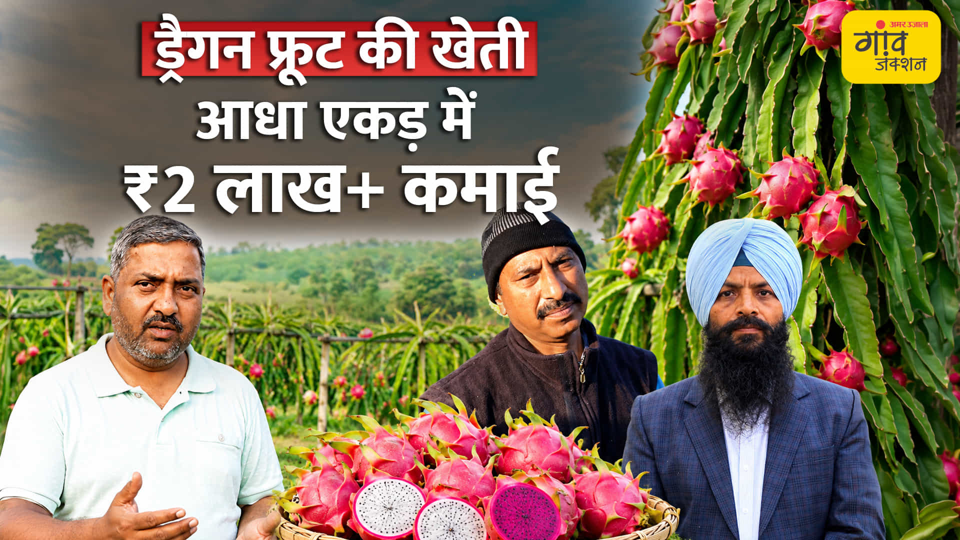 ड्रैगन फ्रूट की खेती
