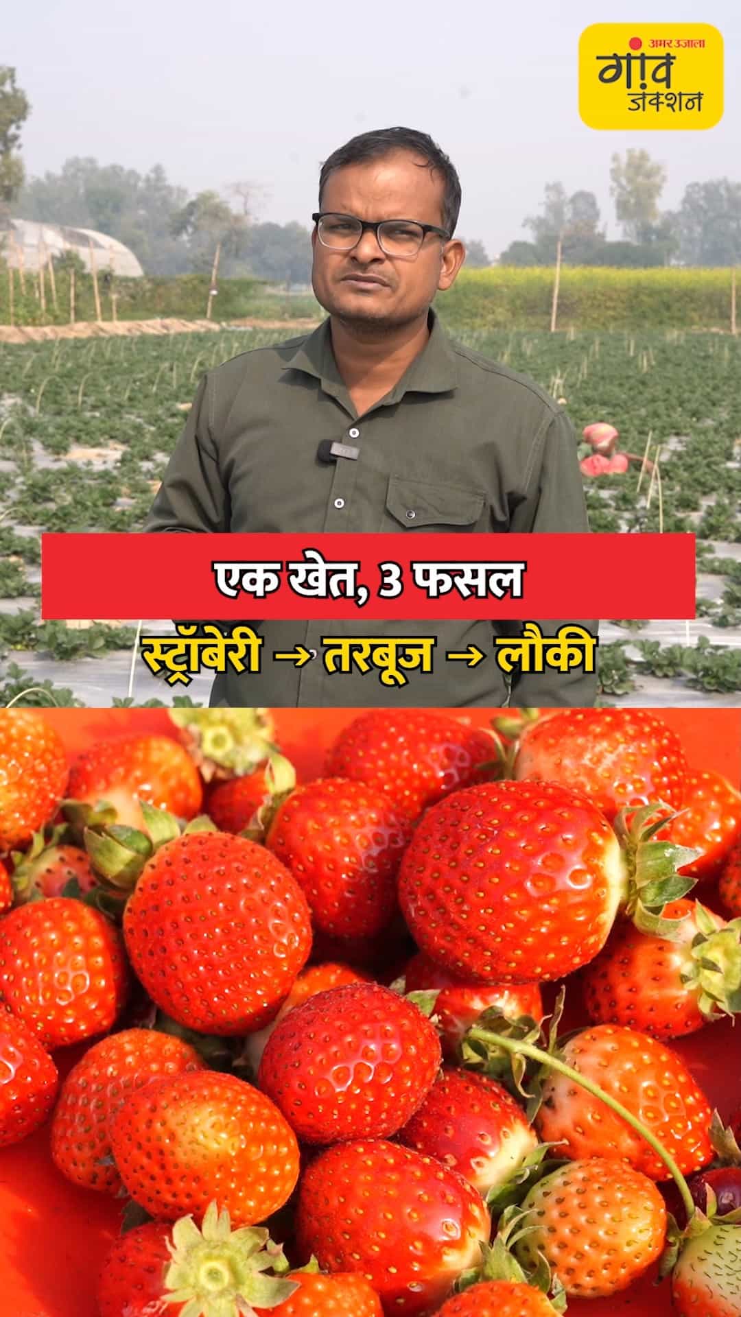 कम जमीन में लाखों की कमाई का तरीका।