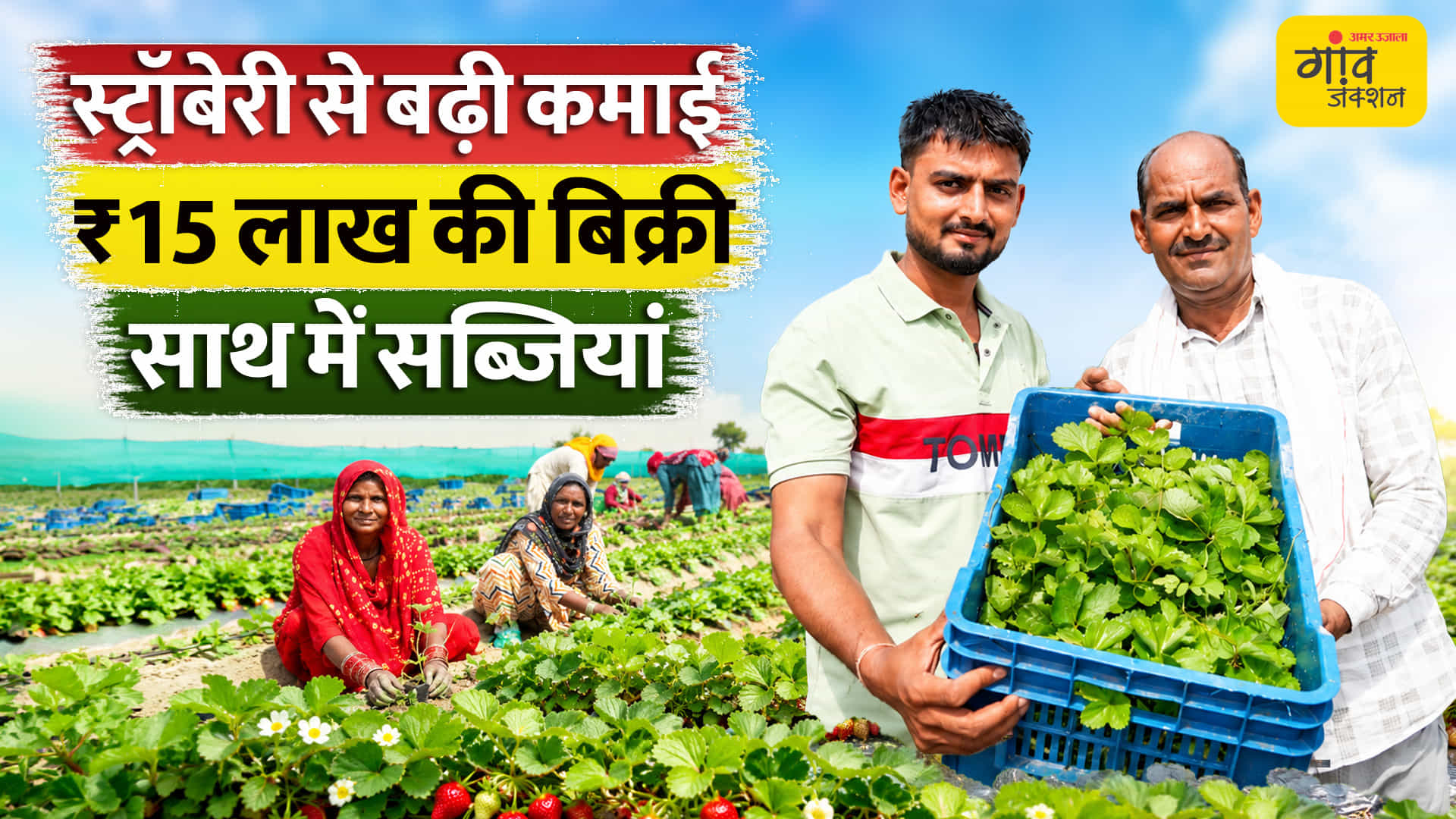 कम जमीन में स्ट्रॉबेरी की खेती से लाखों की कमाई।