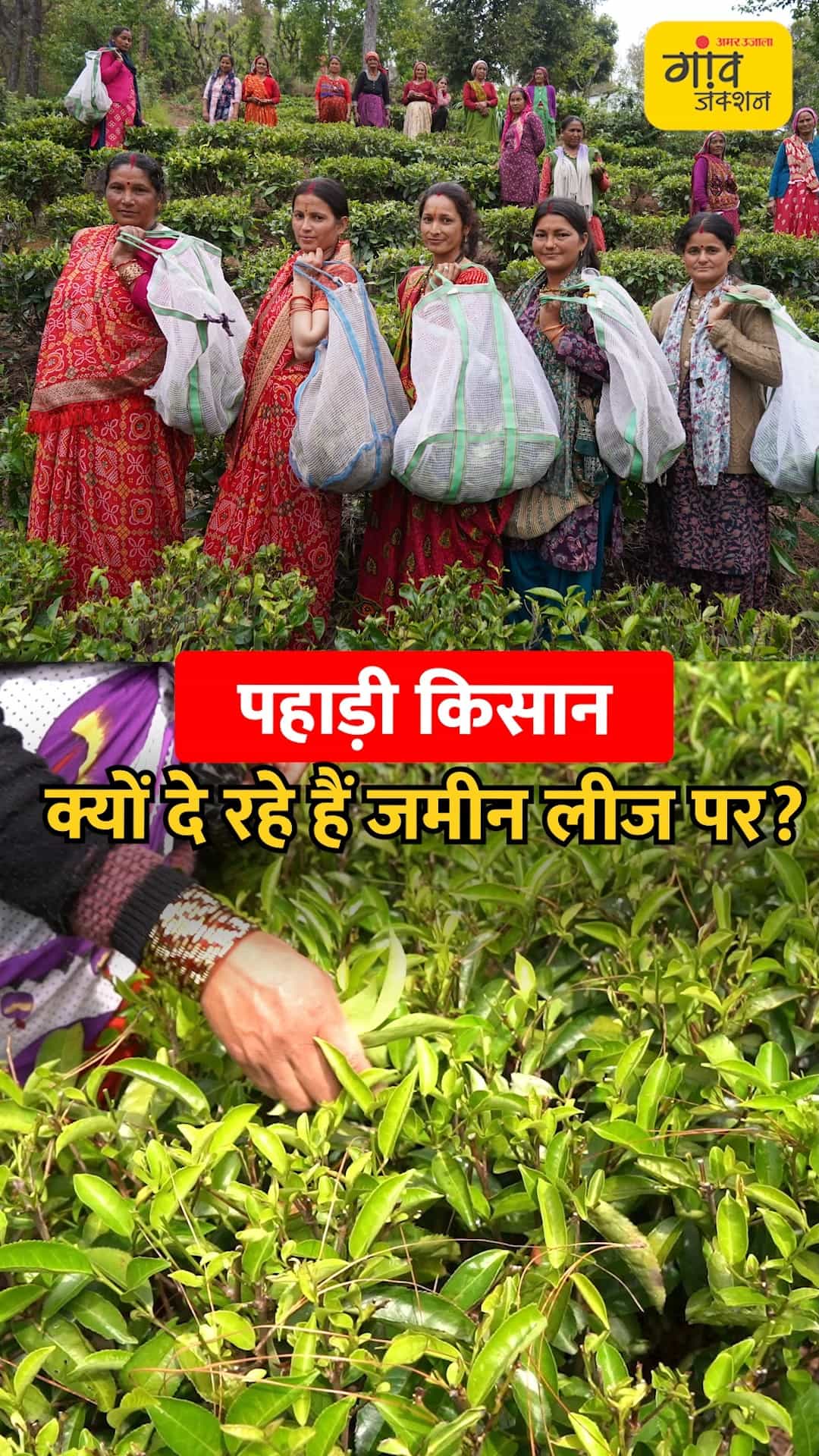 पहाड़ी किसानों के लिए जमीन पर लीज देना क्यों फायदे का सौदा बना?