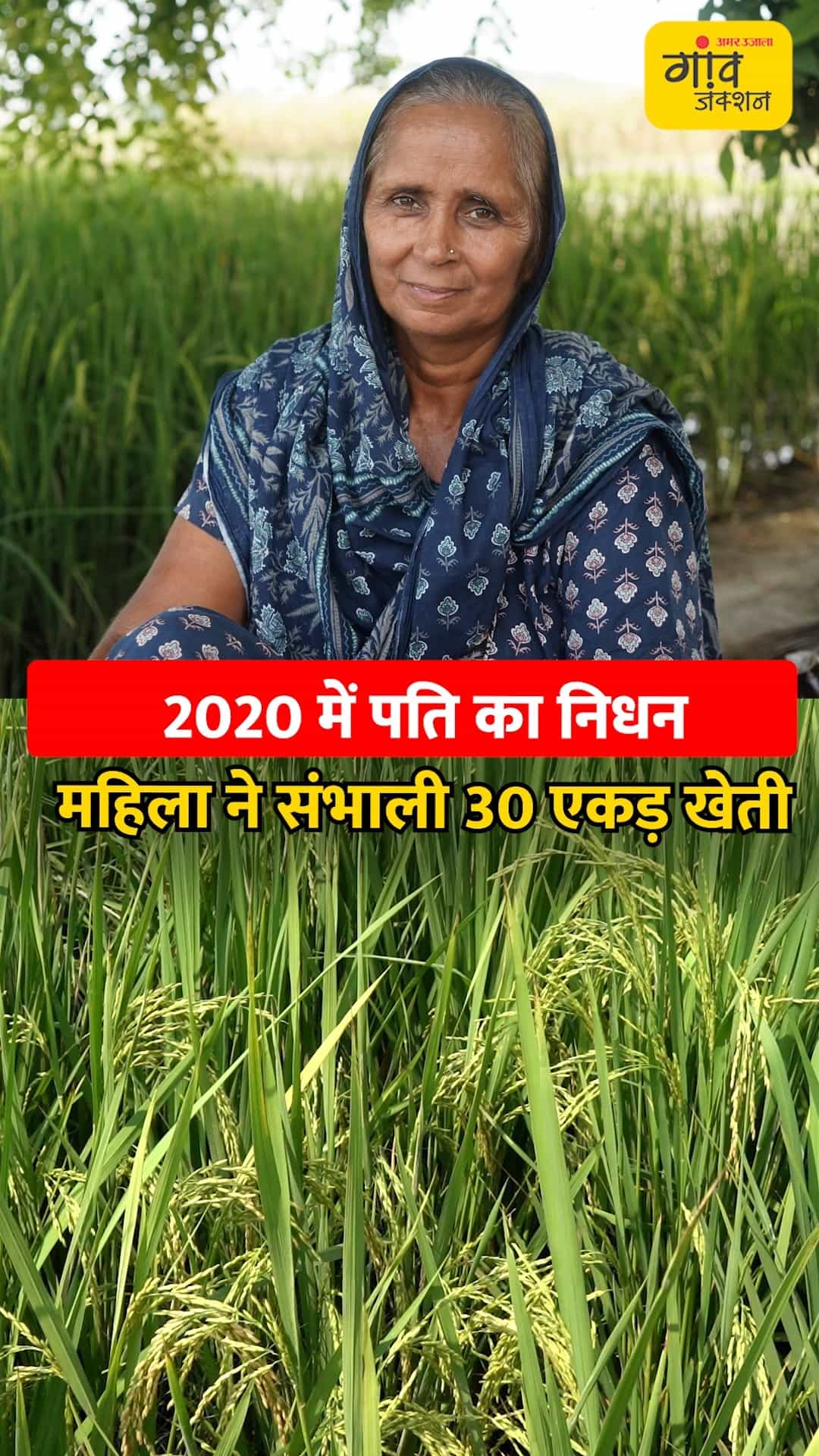 पति के निधन के बाद महिला ने हार नहीं मानी, कई एकड़ में खेती संभाली।