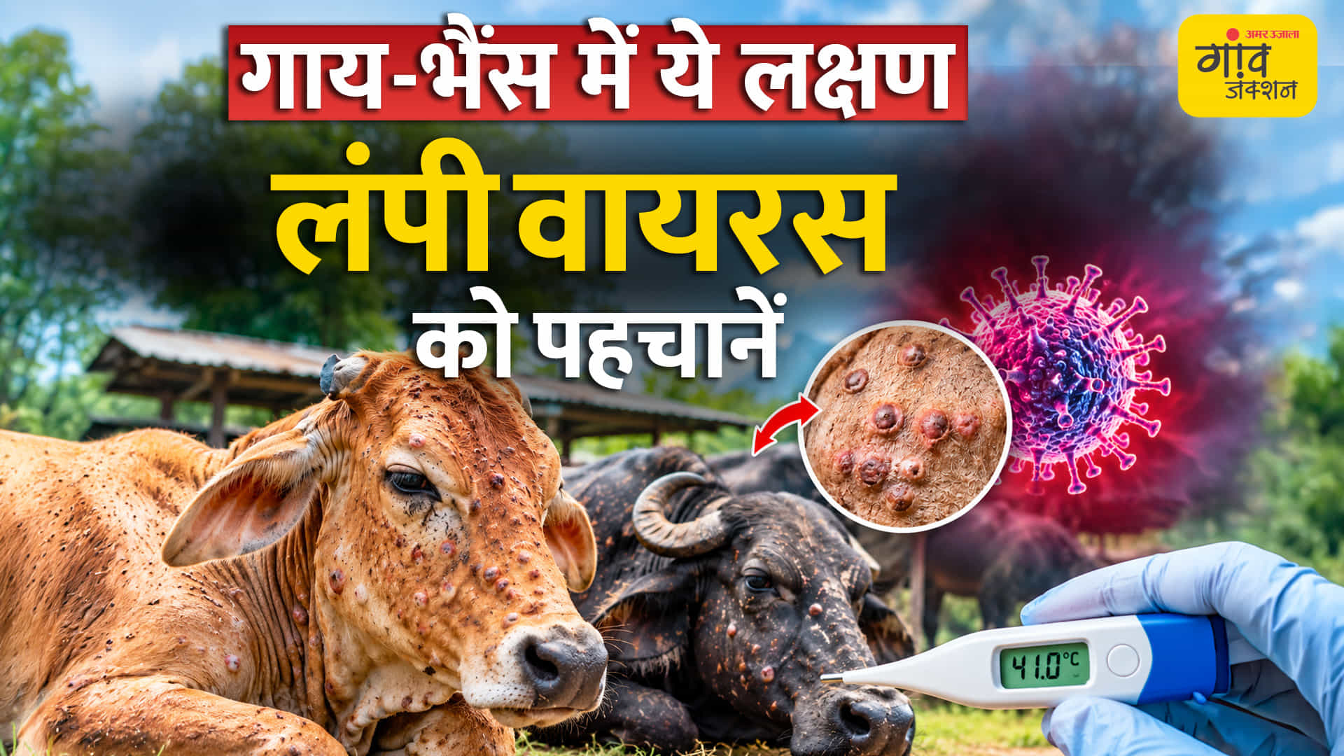 गाय-भैंस में लंपी