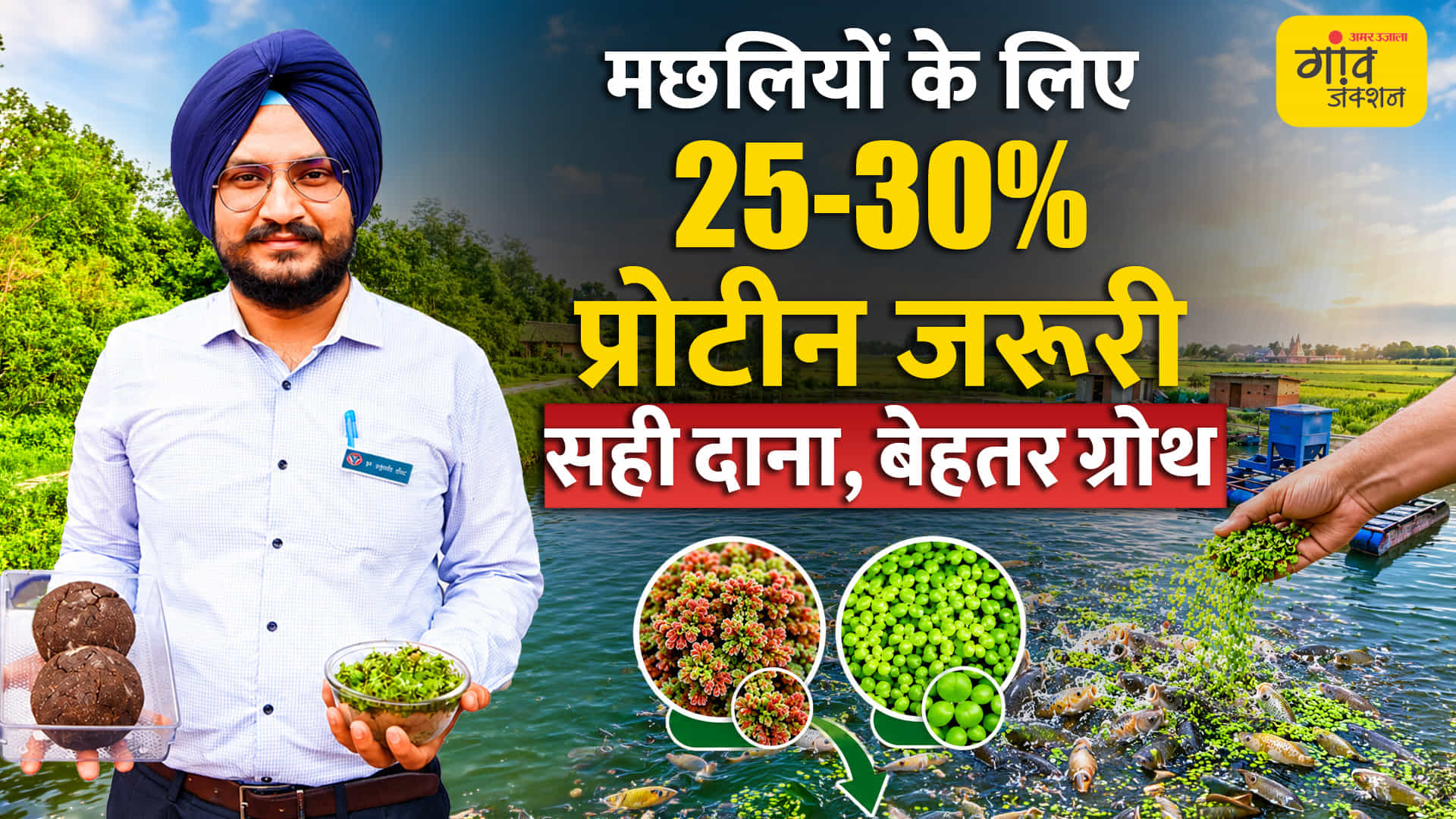 मछली के फीड पर खर्च घटाएं 30%
