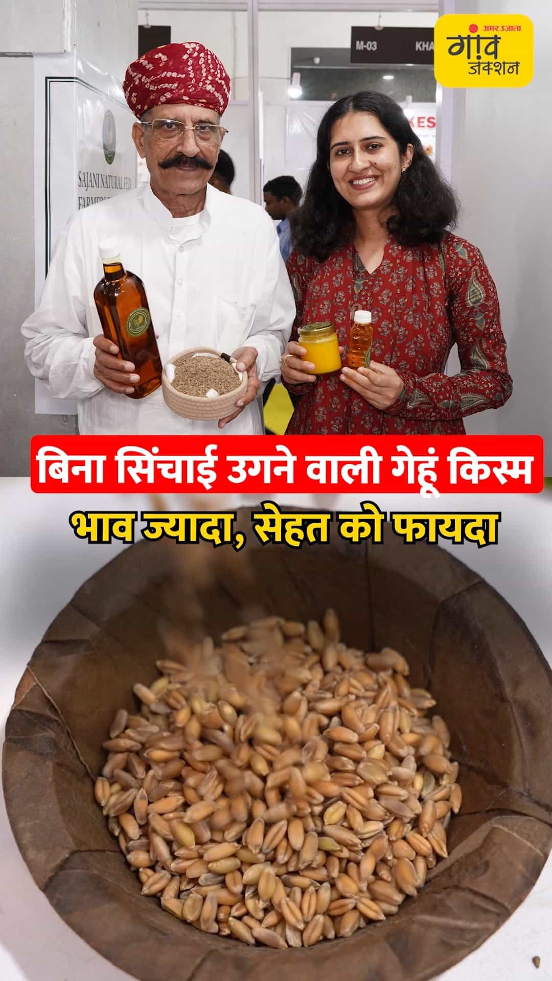 बिना सिंचाई उगने वाली गेहूं की किस्म, भाव ज्यादा और सेहत को फायदा।