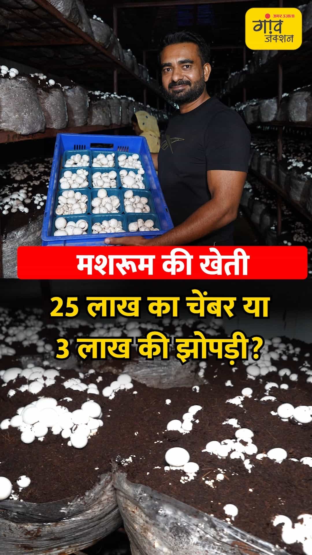 चेंबर या झोपड़ी, मशरूम उत्पादन का मुनाफे वाला मॉडल क्या है?
